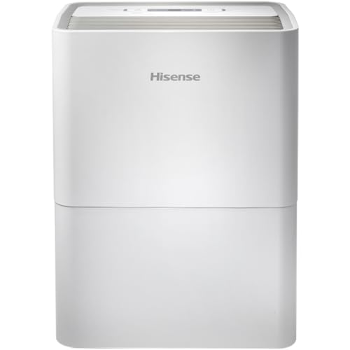 Deumidificatore Hisense D12HW