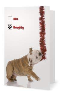 Bulldog Depot Holiday Collection- Naughty or Nice Christmas Cards Box Set (10 cards)