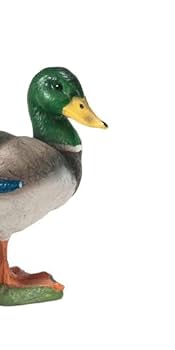 Schleich シュライヒ　鳥　フィギュア　カモ　オス　メス　子ども　親子 Schleich シュライヒ 鳥 フィギュア カモ オス メス 子ども 親子