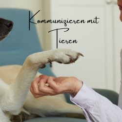 Yuki macht sich auf den Weg