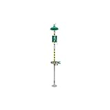 Haws 8300-8309 Combination Emergency Shower and Eye/Face Wash with Axion MSR Showerhead, Green/Silver