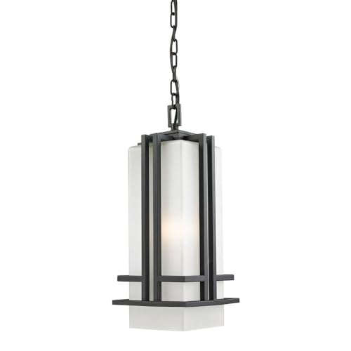 Z-Lite 549CHB-BK Outdoor Chain Light with Aluminum Frame Black