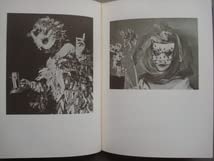 『レオノール・フィニーの仮面』生田耕作 (訳) A・P・ド・マンディアルグ(著） レオノール・フィニーの仮面』生田耕作 (訳) A・P・ド・マンディ