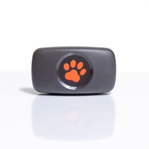 PitPat Dog GPS Tracker - No Subscription Required - Suitable for All Dogs And Fits All Collars - Smart Activity Tracker, Satellite Tracking With Unlimited Range - 100% Waterproof Pet Tracker (Black)