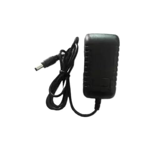 Câble de chargeur pour balance JY2002 5002 adaptateur flexible 2m