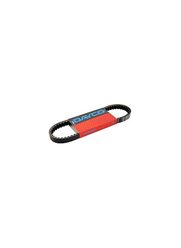 Courroie trapézoïdale Dayco 8259 contre le sifflement moteur
