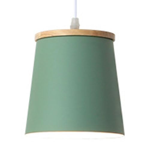 Lustre de Style Industriel en métal noir avec suspension à tête unique pour plafond