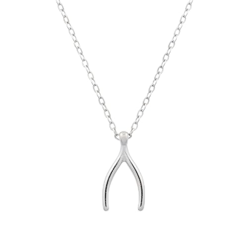 ALRNBY Gold Wishbone Necklace for Women Trendy Fashion Alt Jewelry Gifts Dainty Charm Pendant Simple Jewelry (Silver)