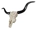 Ebros Gift Texas Longhorn Steer Cattle Cow Skull Wall Mounted Hanging Plaque Figurine 21