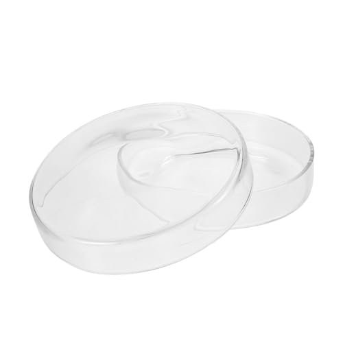 Boîte de Pétri pour usage scolaire lors des travaux pratiques de biologie