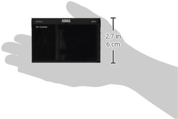 Korg Guitar Tuner (GACS)