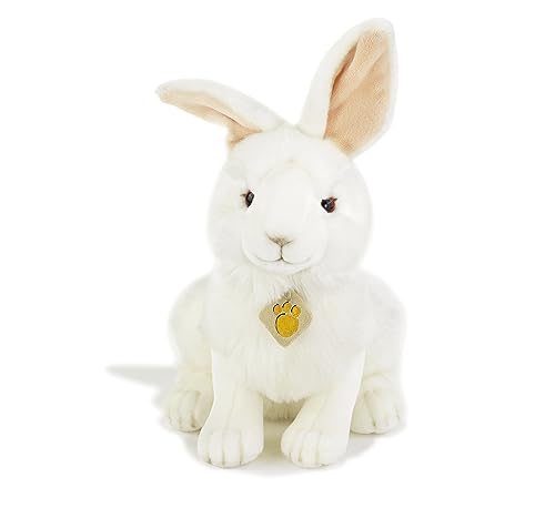 Plush & Company- Plush, 15970