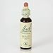 Produktbild Bach 15 Holly 20 ml (Bachblüten) Bach