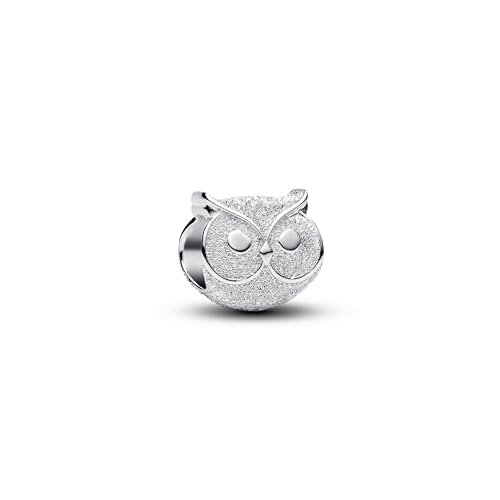 Pandora Moments 794525C00 - Ciondolo A Forma Di Gufo Strutturato In Argento Sterling, Compatibile Con Moments