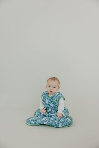 Image of Copper Pearl Baby Sleep Sack, Jurassic Park - Wearable Blanket for 0-6 Months, Sleeveless Sleep Sack for Baby Boy or Girl