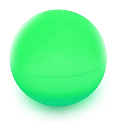 Danieli Sfera Luminosa da Giardino 60cm Made in Italy | Sphere L LED Multicolore con Telecomando | Luci a LED da Giardino a Forma di Palla da Esterno-Interno |Trasformatore IP20 da 1,8 mt e LED IP67