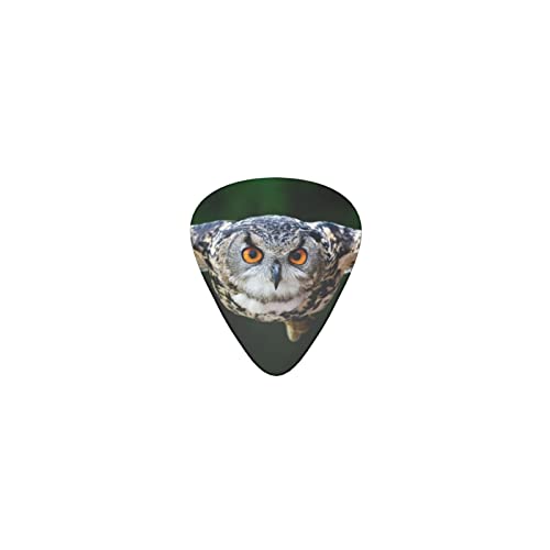 飛んでいるワシミミズク デザインギターピック guitar pick ティアドロップ型 エレキギター/アコースティックギター/クラシックギター/ベース等の練習に最適な12枚セット
