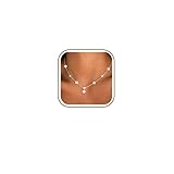 Avotto S925 Silver Necklace for Women Flower Clover/Choker Necklace Ladies Necklace for Women Jewellery Birthday Gifts