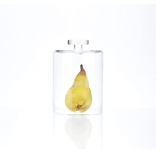 Wrzesniak Glassworks Handmade Small Glass Display Cover Cloche Bell Dome With Knob 15.3 cm x 11 cm