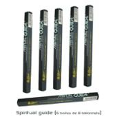 SPIRITUAL GUIDE ENCENS SPIRITUAL LOT DE 6 BOITES DE 10 GRAMMES PADMINI