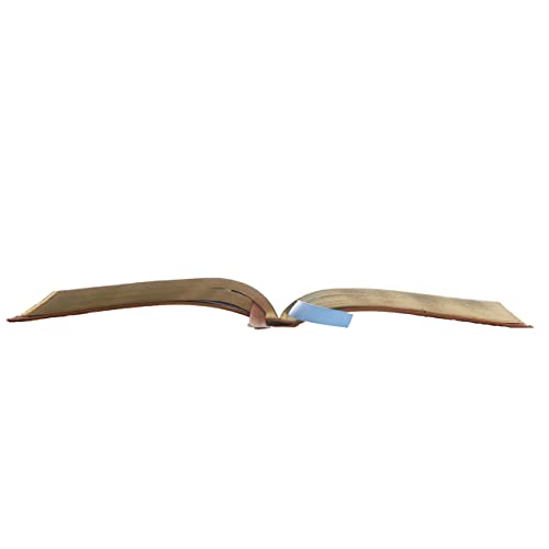 Kjv, Thinline Bible Youth Edition, Leathersoft, Brown, Red Letter Edition, Comfort Print: Holy Bible