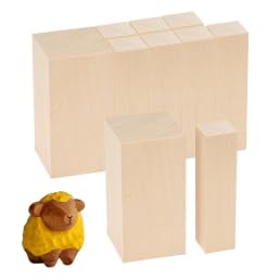 10Pcs Basswood Carving Blocks,Wood Carving kit 2 Sizes Whittling Wood Basswood Blocks Unfinished Smooth Wooded Block for Beginner (10pcs)