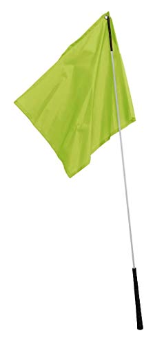 Flag Training Stick Lime