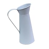 Mini arrosoir – idéal pour la maison, le bureau, un bureau, le sol, etc., vase porte-composition