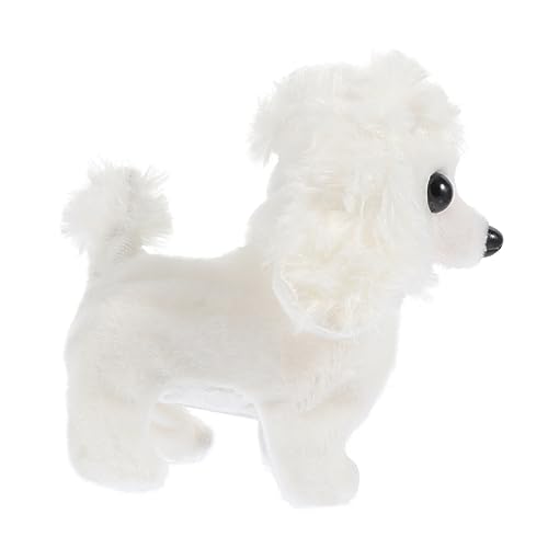 SUNCN dq ސl q̂ ̗Vѓ dC U dqi 