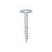 100 Pack of Rok Hardware #8 x 1-1/4