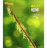 Paperback The story of life: born! Mantis(Chinese Edition) [Chinese] Book