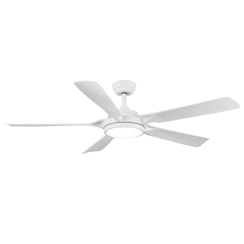 Newday Ventilador de Techo Blanco, 142cm Ventilador de Techo con Luz Dimmer, Ventilador Techo Grande con Mando a Distancia Silencioso, 5 aspas, Motor DC, 6 Velocidades,Función de memoria, Blanco