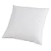 UKKO Cuscino Cuscino Cuscino Nucleo Non Tessuto Panno Home Cuscino Dell'Hotel Riempimento Interno Riempimento Cotone-Imbottito Cuscino Cuscino Cuscino Nucleo Non Tessuto-C,45X45Cm