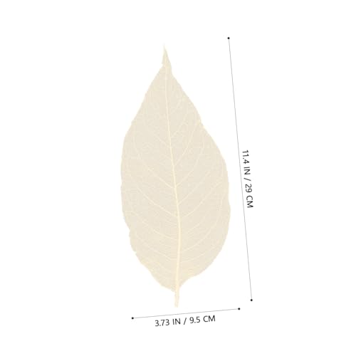 Hojas secas naturales para manualidades 100 pcs miniatura 2