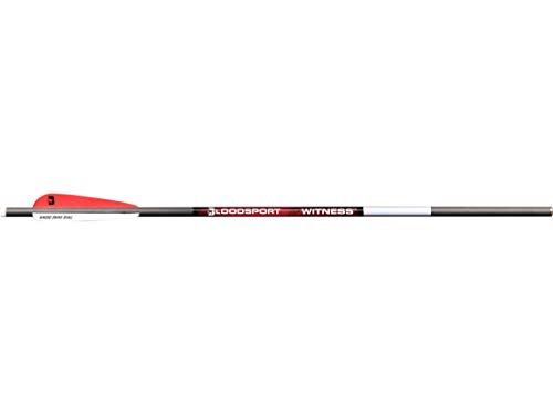 BLOODSPORT Witness 20' Carbon Crossbow Bolt 4' Vanes Black 6PK