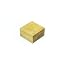 Yellow Poplar