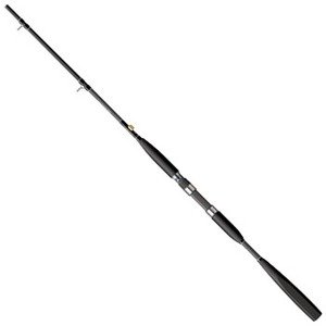 ✨大特価✨　SHIMANO シマノ　TACHIUO BB ロッド　船釣り　ルアー Amazon | シマノ(SHIMANO) ロッド タチウオ BB 82-195 | シマノ