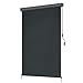 UISEBRT Senkrechtmarkise Balkonmarkise 160 x 250 cm Vertikalmarkise mit Handkurbel Sonnenschutz Sichtschutz Windschutz für Terrasse Balkon Anthrazit (1.6 x 2.5m, Anthrazit)