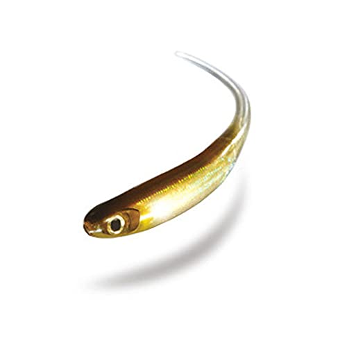 OSPミノーセット Mylarminnow | BASS | O.S.P,Inc. | ルアーフィッシングメーカー