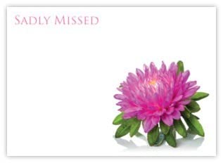 celloexpress Sadly Missed (Pink Aster) Flower Message Cards - 90mm x 125mm - Bereavement Florist Card Sympathy Condolences Notes (Pack of 24)