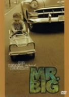 グレイテスト・ビデオ・ヒッツ [DVD]のサムネイル