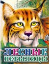 Hardcover Tsigankov Forest fiction / Tsigankov Lesnye nebylitsy [Russian] Book