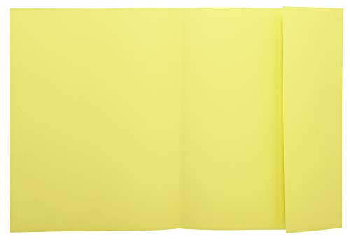 Exacompta, Ref 339005E, Super 210 1-Flap Folders, 240 x 320mm in Size, Suitable for Holding A4 Documents, 210gsm Card - Image 2