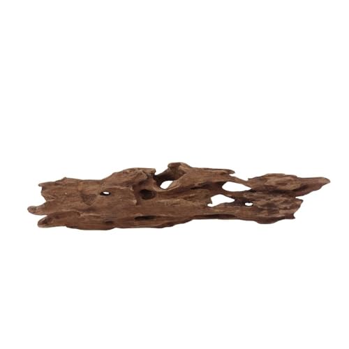 Aquaone M Honey Comb Wurzel Nr.2270