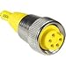 RKM RKM 50-0.3M, Cordset; Str 7/8-16 Female to Str 7/8-16 Female; 5 Wire; 0.3m; PVC; Yellow; U-85394