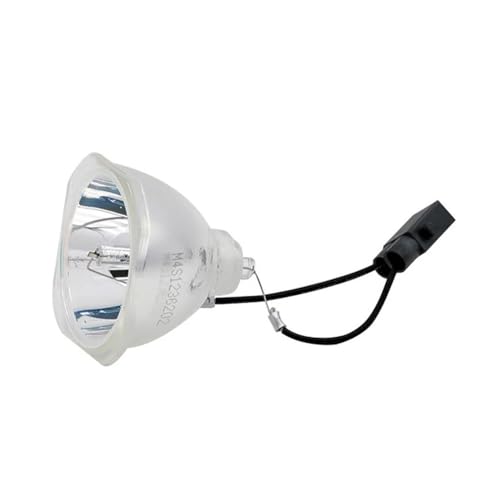 Ampoule de rechange pour corriger l'image sombre des projecteurs EB-955W