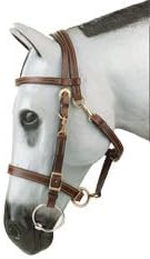 Kimberly Light Weight Halter Bridle Combo (Cob, Black)