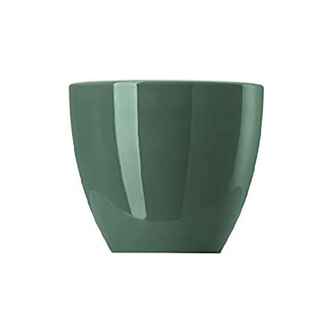 Porcelana Thomas Huevera Cover