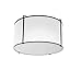 2 Light White Flush Mount