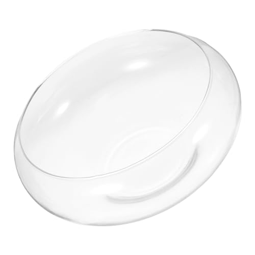 JOINPAYA Maceta De Cristal Transparente